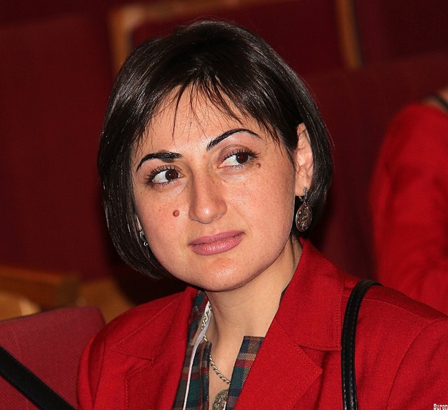 Guest blogger, Anna Chulyan, Director of the National Library of Armenia and EIFL Country Coordinator in Armenia.
