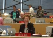 Teresa Hackett at the SCCR meeting hall Geneva.