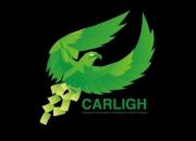 Carligh Logo - a bird of prey on a black background!