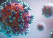 COVID-19 virus image.