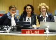 Phote of the EIFL team at SCCR/29