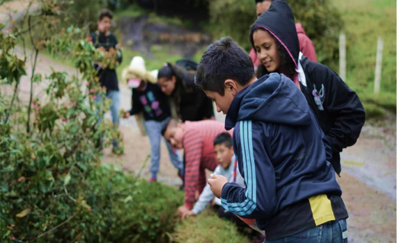 `Children picking up plastic waste from the side of the road to generate income.