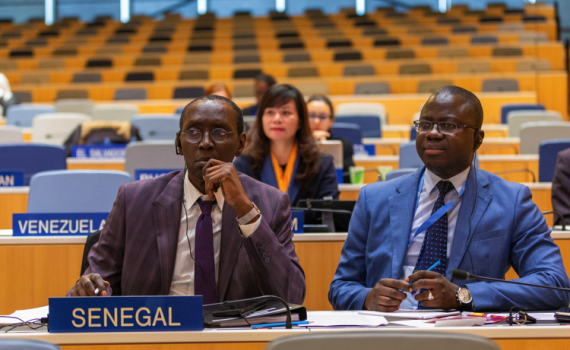 Senegal delegates in the WIPO assembly hall. Photo: Emmanuel Berrod. This work is licensed under a Creative Commons Attribution-NonCommercial-NoDerivs 3.0 IGO License.